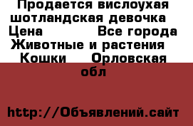 Продается вислоухая шотландская девочка › Цена ­ 8 500 - Все города Животные и растения » Кошки   . Орловская обл.